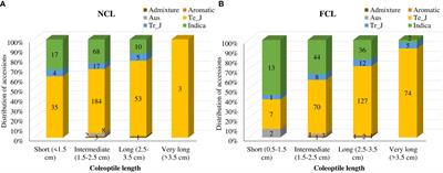 Genomic landscape of the OsTPP7 gene in its haplotype diversity and association with anaerobic germination tolerance in rice